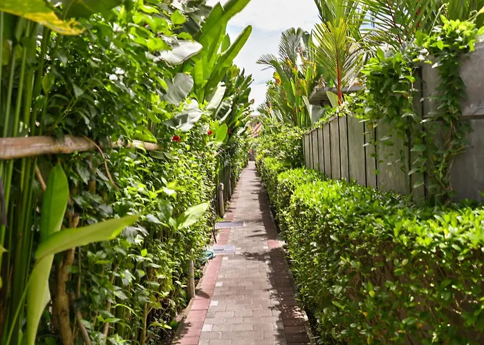 Canggu Wooden Green Paradise