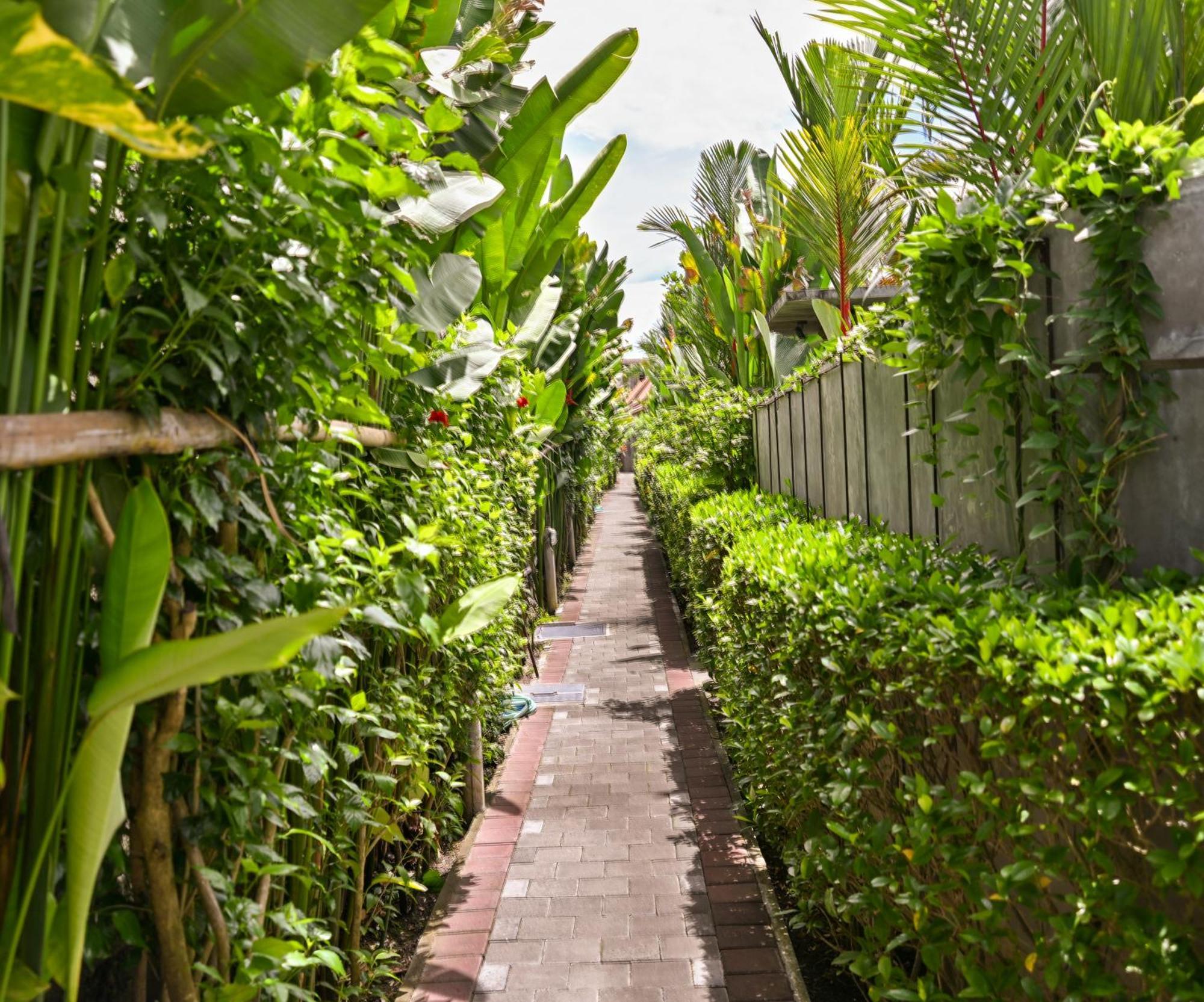 Wooden Paradise Canggu